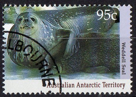 Australian Antarctic 1992 Regional Wildlife 95c Weddell Seal CTO - Used Stamps