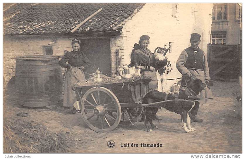 Belgique     Laitière Flamande.   Attelage De Chiens. - Other & Unclassified