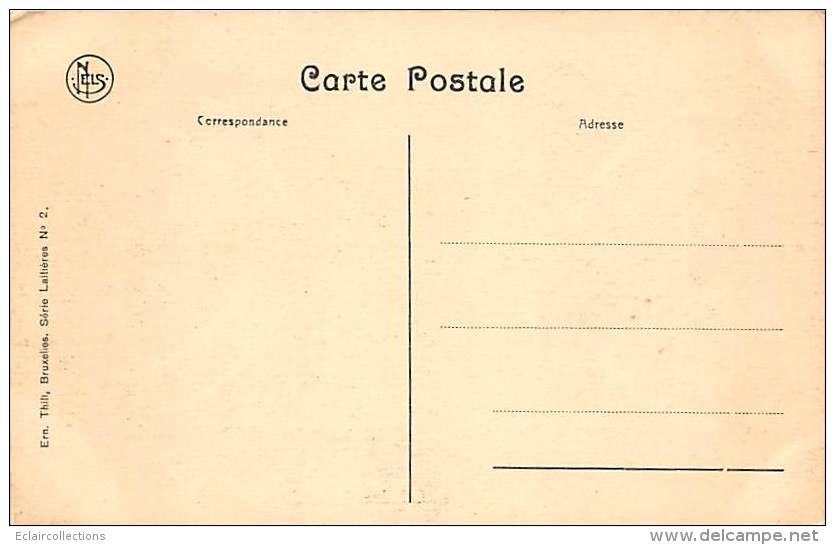 Belgique     Laitière Flamande.   Attelage De Chiens. - Otros & Sin Clasificación