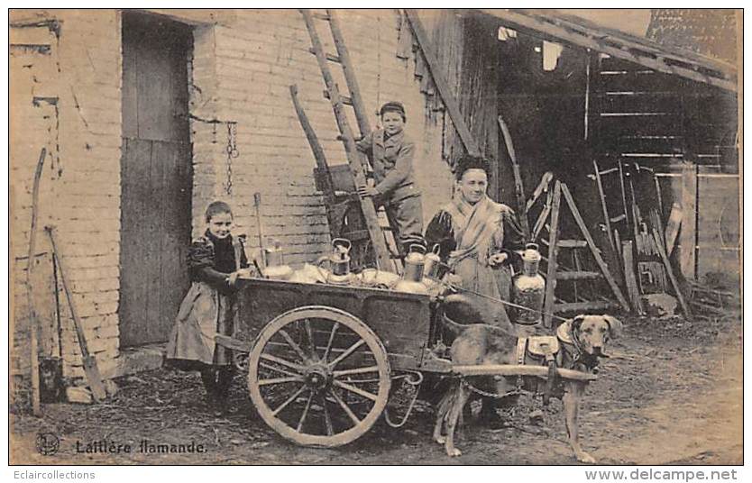 Belgique     Laitière Flamande.   Attelage De Chiens. - Altri & Non Classificati