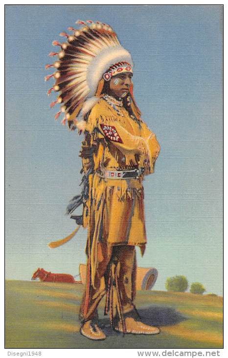 04543 "PUEBLO INDIAN DANCER IN FULL REGALIA"  ANIMATED. ILLUSTRATED POSTCARD, NOT SHIPPED. - Amerika