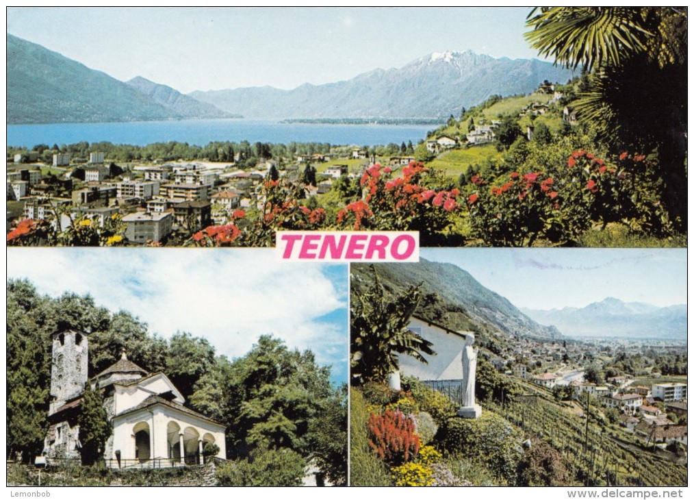 Switzerland, Suisse, TENERO, 1999 Used Postcard [16157] - Tenero-Contra