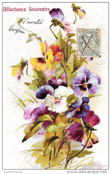 [DC2357] CARTOLINA - AUGURALE - AFFECTUEUX SOUVENIR - Viaggiata - Old Postcard - Fiori