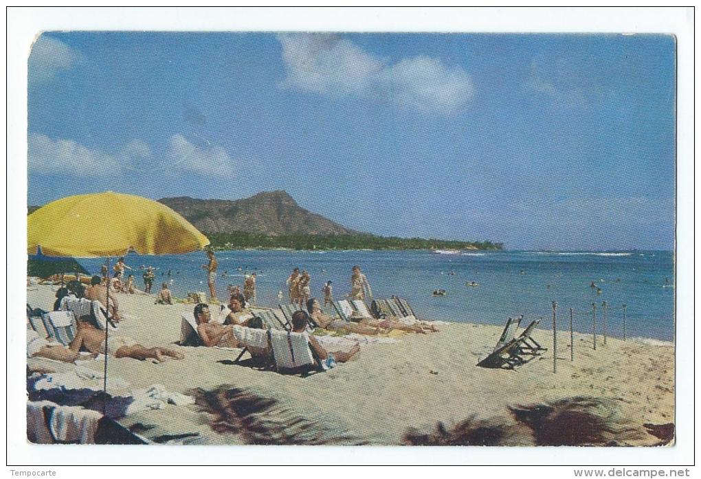 Lazy Waikiki Days - On The Famous Beach At Waikiki - Big Island Of Hawaii