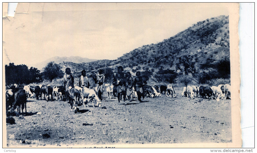 Africa Orientale. Pastori Beni Amer - Eritrea