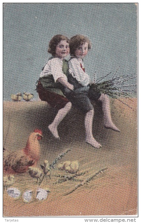 POSTAL DE UNOS NIÑOS CON GALLINAS Y POLLITOS (GALLO-COQ) - Escenas & Paisajes