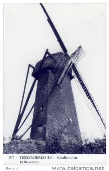 TESSENDERLO (Limburg) - Molen/moulin - Blauwe Prentkaart Ons Molenheem Van De Verdwenen Houten Schaliënmolen - Tessenderlo