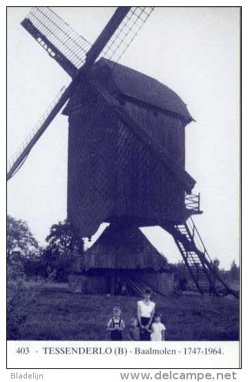 TESSENDERLO (Limburg) - Molen/moulin - Blauwe Prentkaart Ons Molenheem Van De Verdwenen Houten Baalmolen - Tessenderlo