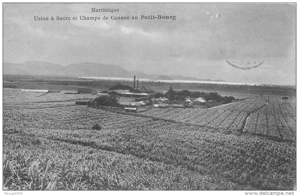 MARTINIQUE  Petit Bourg  Usine à Sucre Et Champs De Cannes   2 Scans - Autres & Non Classés