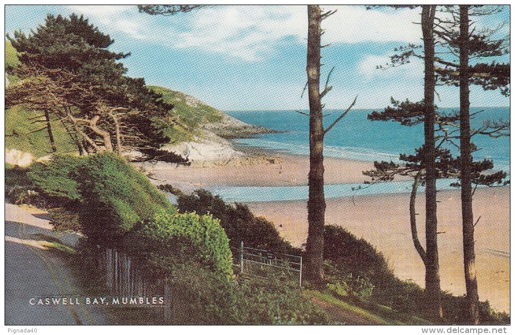 Cp , PAYS-de-GALLES , SWANSEA , Caswell Bay , MUMBLES - Autres & Non Classés