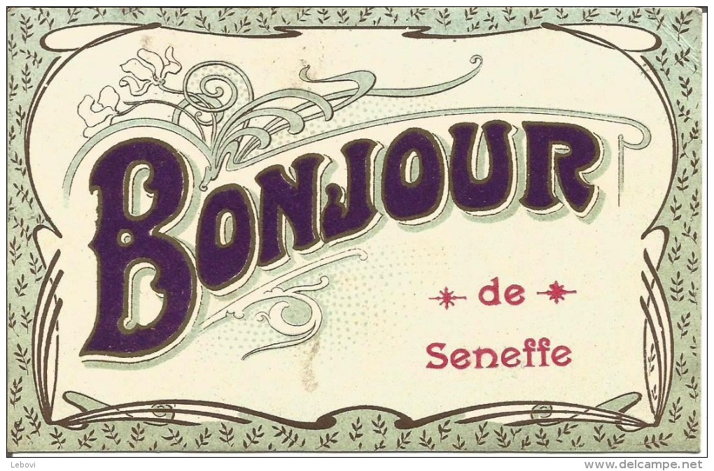 « Un Bonjour De SENEFFE » - Ed. Selecta F.D.G. Breveté (1908) - 2 Matières - Seneffe