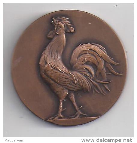 Médaille En Bronze De La Fédération Française De Rugby ( 2 Scans ) - Rugby