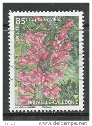 Nouvelle-Calédonie Yv 1193  Année 2013, Oblitéré,   Voir Scan - Oblitérés