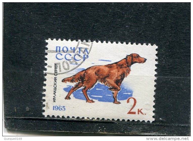 RUSSIA. 1965. SCOTT 3001. DOGS: IRISH SETTER - Oblitérés