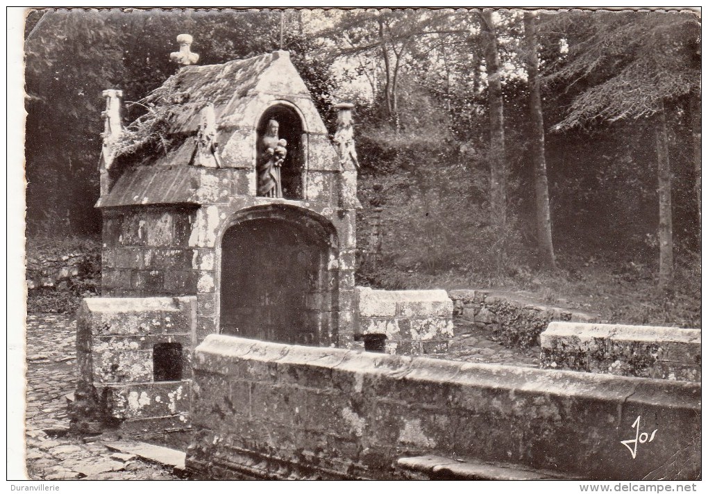 29 - DAOULAS - La Fontaine Sacrée En Granit. (CPSM) - Daoulas
