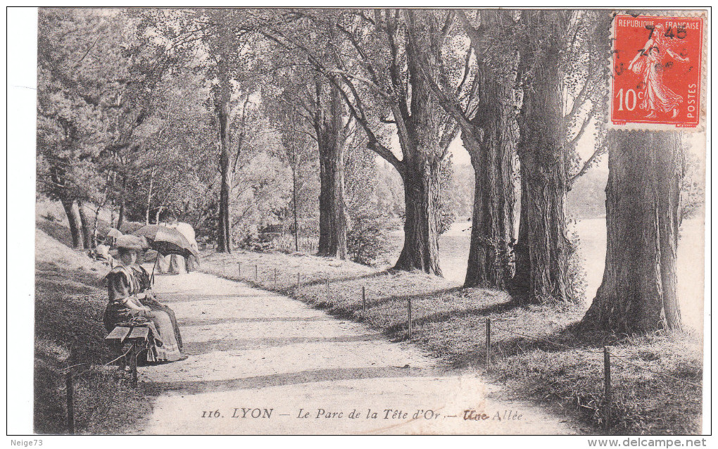 Carte Postale Ancienne De Lyon - Parc De La Tête D'Or - Une Allée - Lyon 6