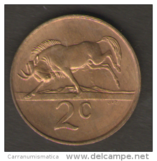 SUD AFRICA SERIE 2 MONETE 1 2 CENTS 1990 - Sud Africa