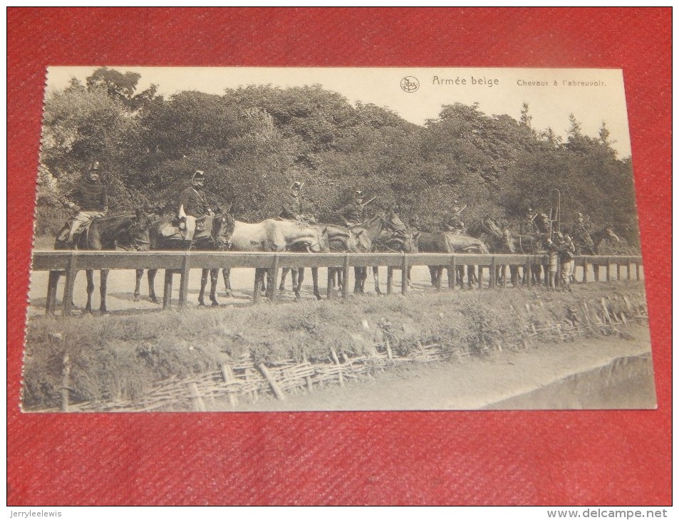 MILITARIA - ARMEE BELGE -   Chevaux à L'abreuvoir - Autres & Non Classés