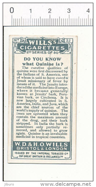 Do You Know Why Quinine Is / The Bark And Flowers Of Cinchona Teinture Plante Fleur  / IM 39/2-Wills - Wills