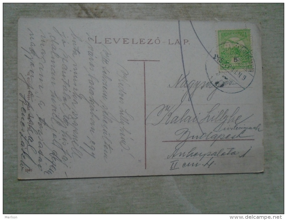 Romania / Hungary  Szatmár-Németi Satu Mare  - Pannoniaszálloda   Ca 1910 D134903 - Roemenië