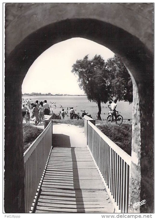 17 - ILE D'OLERON : Petit Lot De 6  CPSM Dentelée Noir Blanc Grand Format ( Toutes Scannées ) Charente Maritime - Ile D'Oléron