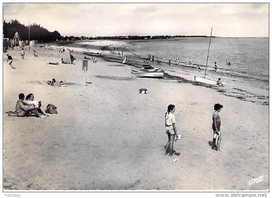 17 - ILE D'OLERON : Petit Lot De 6  CPSM Dentelée Noir Blanc Grand Format ( Toutes Scannées ) Charente Maritime - Ile D'Oléron