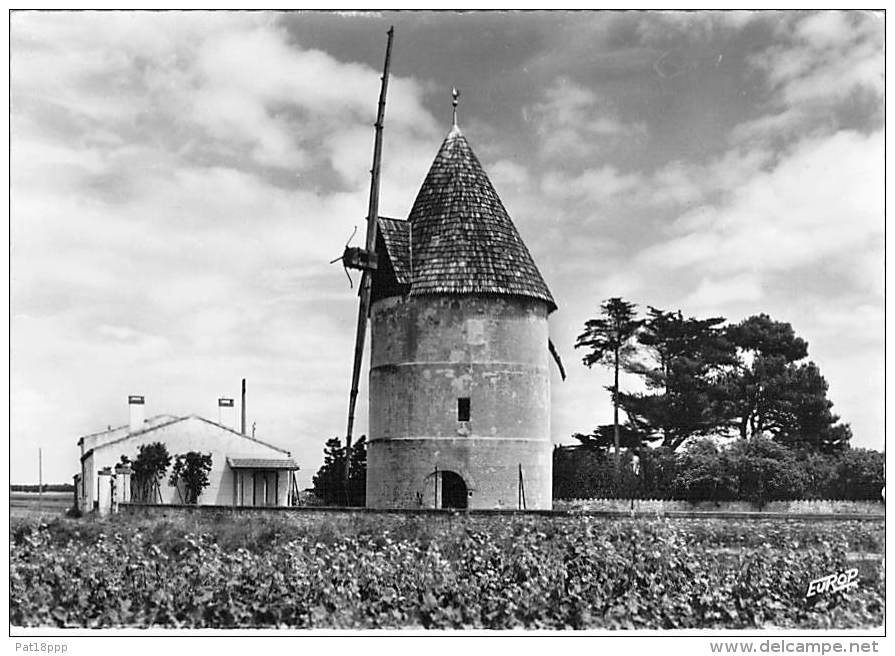 17 - ILE D'OLERON : Petit Lot De 6  CPSM Dentelée Noir Blanc Grand Format ( Toutes Scannées ) Charente Maritime - Ile D'Oléron