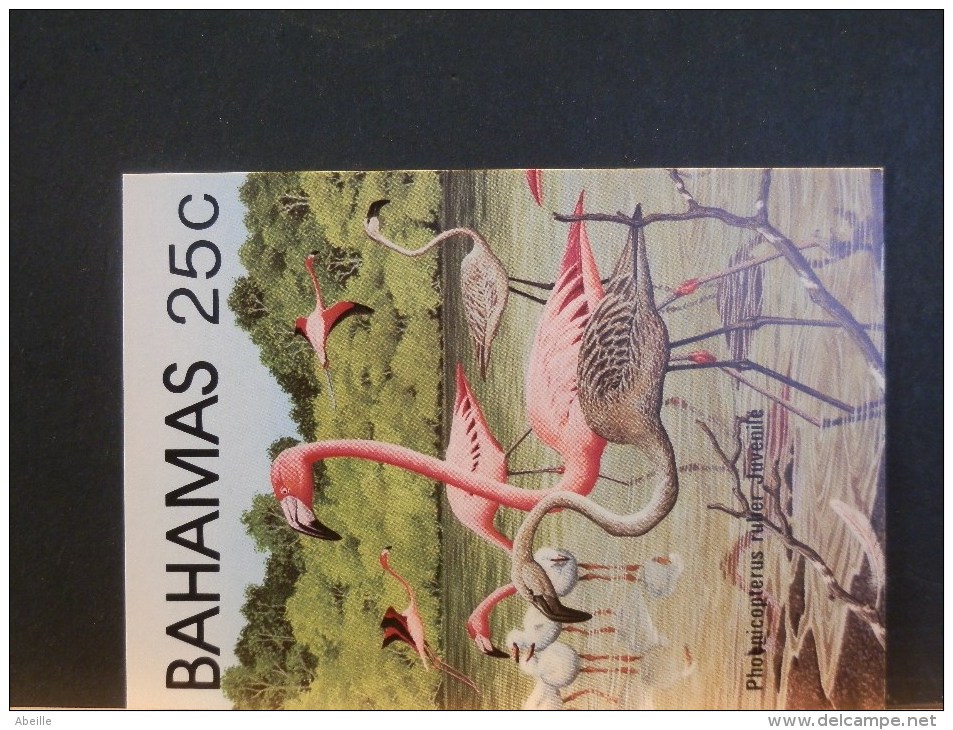 57/202   5  CP  BAHAMAS REPRODUCTION DE TIMBRES - Flamants