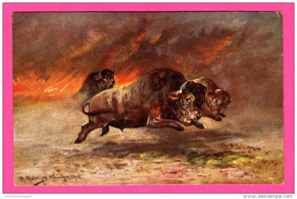 Dessin De 3 Bisons - 1930 - W.S.B.S - Illustrateur MUELLER AUGUST - Mueller, August - Munich