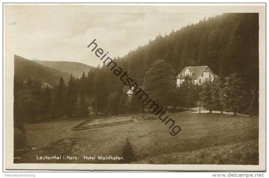 Lautenthal - Hotel Waldkater - Foto-AK - Verlag Julius Simonsen Oldenburg - Andere & Zonder Classificatie