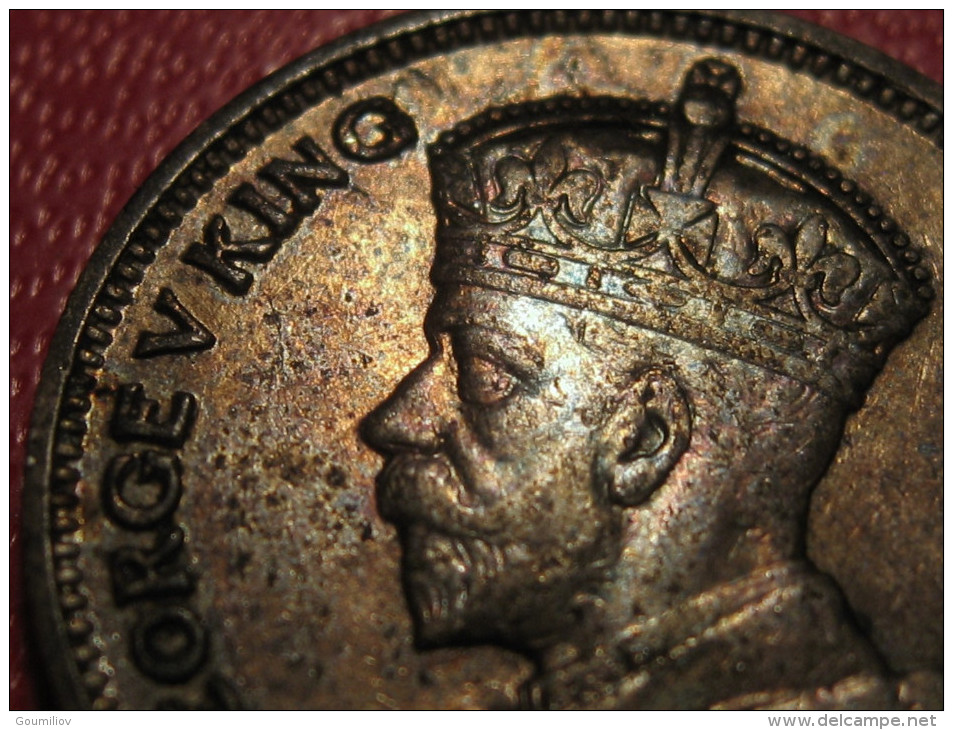 Nouvelle-Zélande - 6 pence 1934 George V 5316