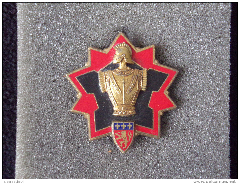 Insignes Militaire "D.T.G. - Direction Des Travaux Du Génie" -  Military Badges - - Armée De Terre