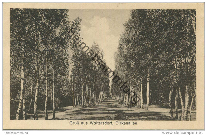 Woltersdorf - Birkenallee - Verlag H. Wiesebach Berlin Ca. 1930 - Woltersdorf