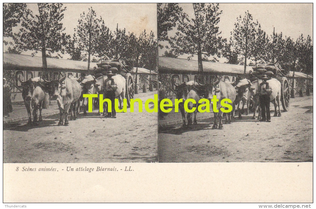 CPA CARTE STEREOSCOPIQUE STEREO SCENES ANIMEES  UN ATTELAGE BEARNAIS - Cartes Stéréoscopiques