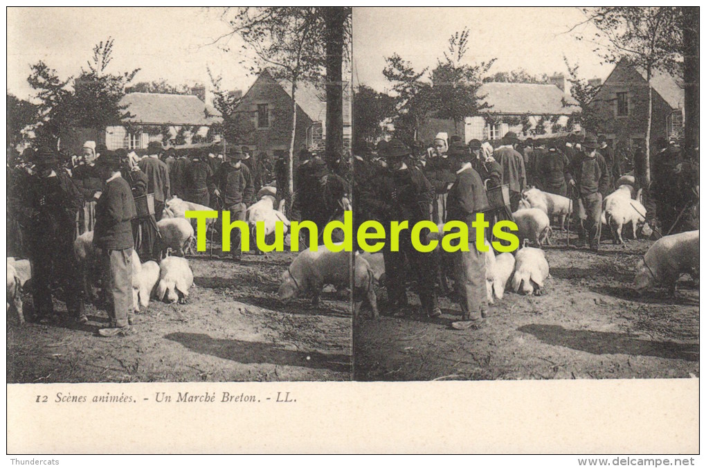 CPA CARTE STEREOSCOPIQUE STEREO SCENES ANIMEES  UN MARCHE BRETON - Cartes Stéréoscopiques