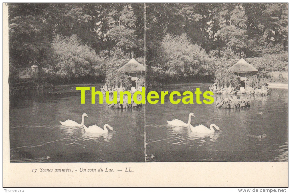 CPA CARTE STEREOSCOPIQUE STEREO SCENES ANIMEES  UN COIN DU LAC - Stereoscope Cards