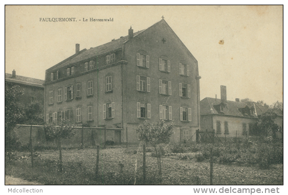 57 FAULQUEMONT / Le Herrenwald / - Faulquemont