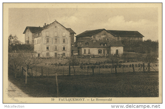57 FAULQUEMONT / Le Herrenvald / - Faulquemont