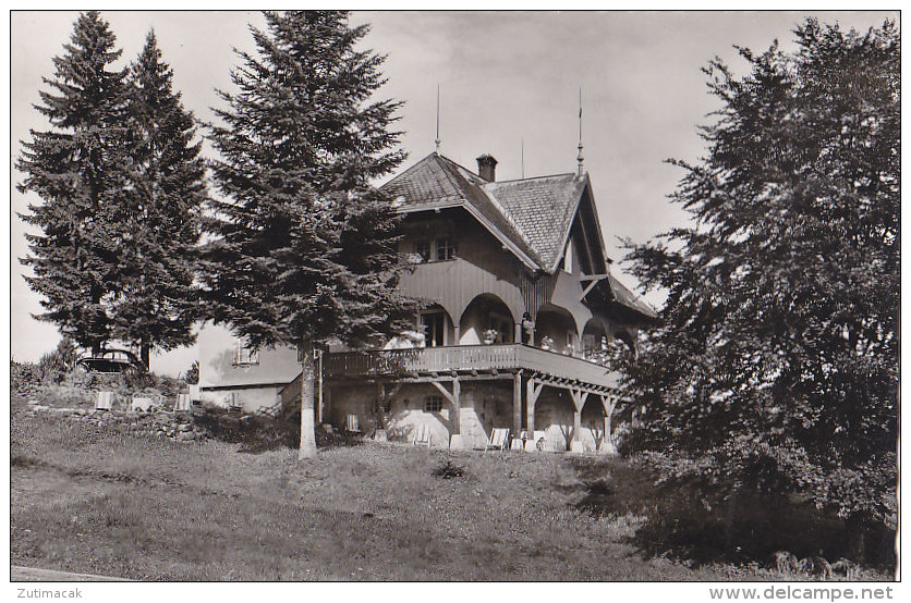 Hinterzarten -. Haus Kemper 1963 - Hinterzarten