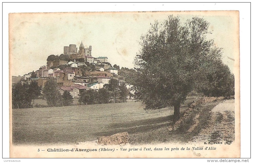 CPA 69 Châtillon'd'Azergues Vue Prise à L'est, Dans Les Prés De La Vallée D'Alix - Autres & Non Classés