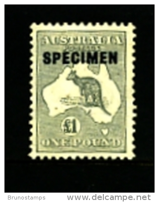 AUSTRALIA - 1935  KANGAROO  £ 1 GREY  C Of A  WATERMARK  OVERPRINTED  SPECIMEN Type D MINT NH  SG137 - Nuevos