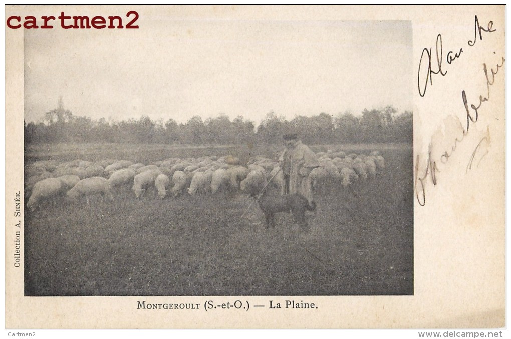MONTGEROULT LA PLAINE BERGER TROUPEAU DE MOUTONS 95 VAL D'OISE 1900 - Altri & Non Classificati
