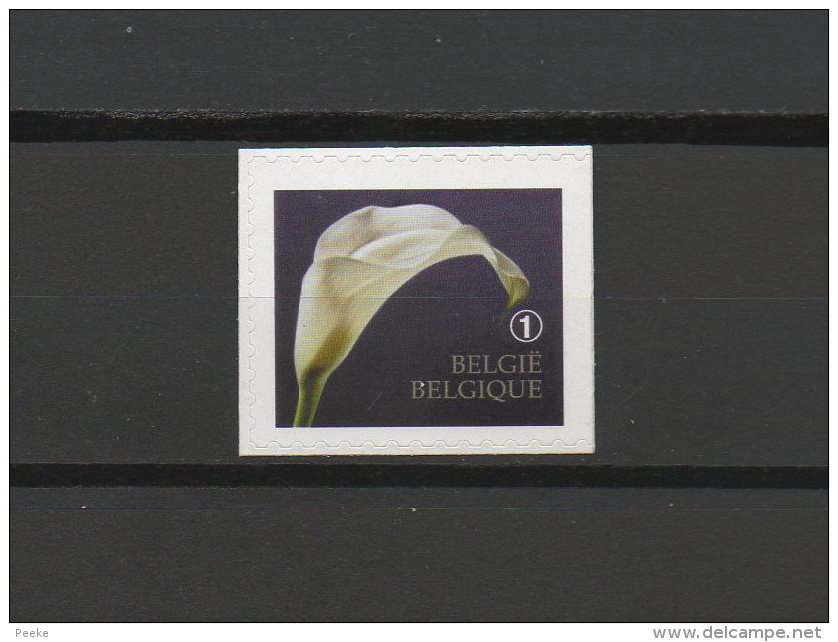 België Nr. 4368a  Xx  -  Rouwzegel  - Postprijs - Unused Stamps