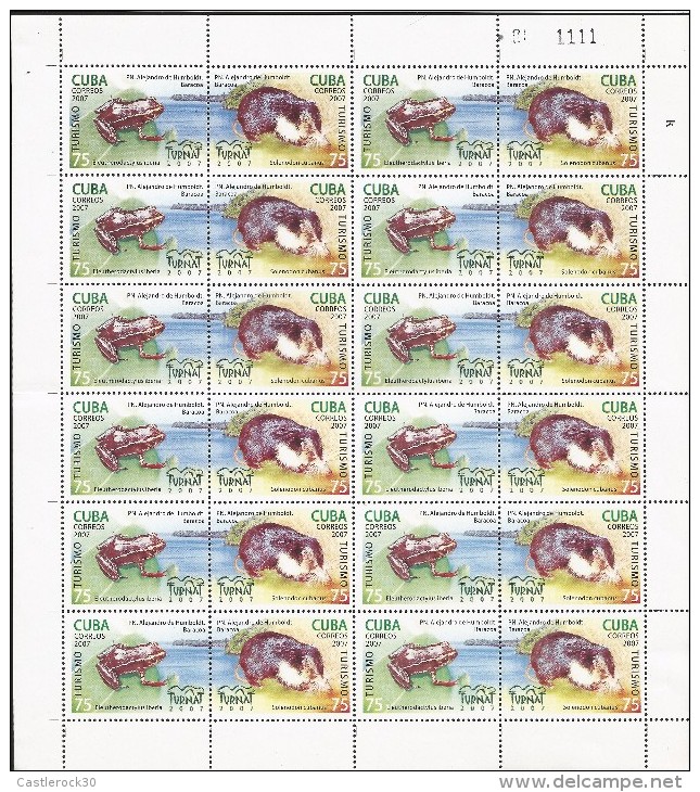 E)2007 CUBA, TURISM, FAUNA, FROG, SOLENONDOTE, SOUVENIR SHEETS, MNH - Oblitérés