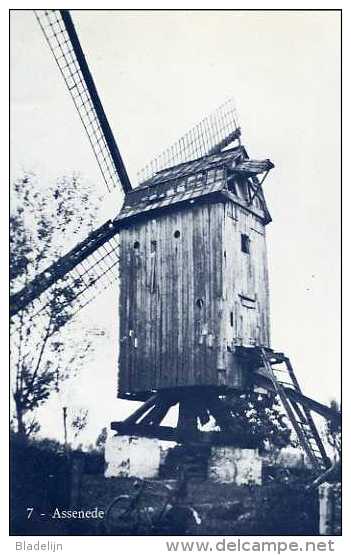 ASSENEDE (O.-Vl.) - Molen/moulin - Blauwe Prentkaart Ons Molenheem Van De Sint-Hubertusmolen Of "Sint-Albrecht" - Assenede