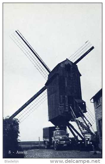 ASSENT Bij Bekkevoort (Vlaams-Brabant) - Molen/moulin - Blauwe Prentkaart Ons Molenheem Van De Gewezen Mierenbergmolen - Bekkevoort