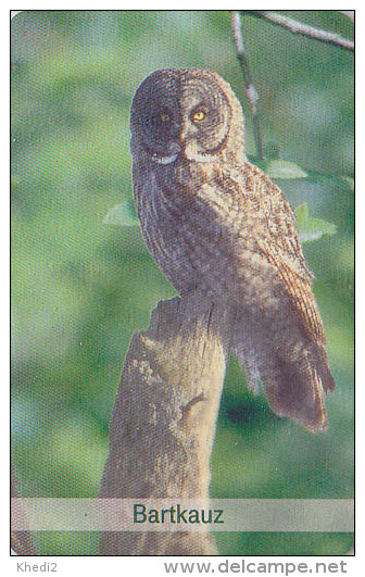 Télécarte à Puce ALLEMAGNE Petit Tirage - Animal - OISEAU HIBOU - OWL  Bird Germany Chip Phonecard - EULE - 4104 - Uilen