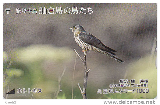 RARE Carte Prépayée Japon - OISEAU Passereau - COUCOU - CUCKOO BIRD Japan Card - Vogel Karte - Fumi 4115 - Sperlingsvögel & Singvögel