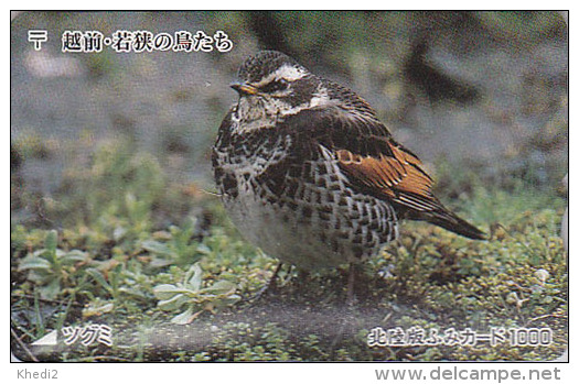 Carte Ancienne Japon - ANIMAL - OISEAU / GRIVE DE NAUMANN - Song BIRD Japan Rare Prepaid Card - Vogel - Fumi 4122 - Sperlingsvögel & Singvögel
