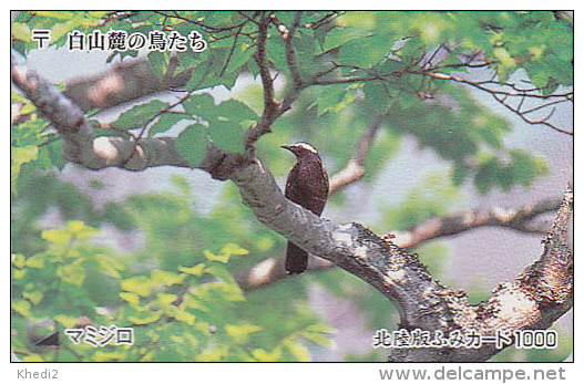 Carte Ancienne Japon - ANIMAL - OISEAU / GRIVE DE SIBERIE - BIRD Japan Fumi Rare Prepaid Card - Vogel - Fumi 4122 - Songbirds & Tree Dwellers